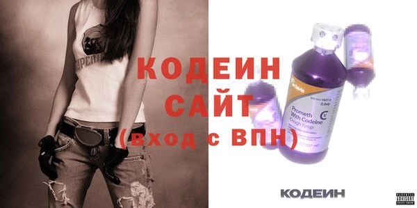 гидра Елизово