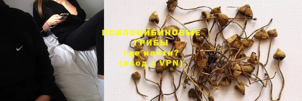 гидра Елизово