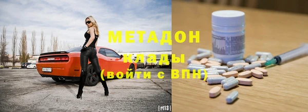 гидра Елизово