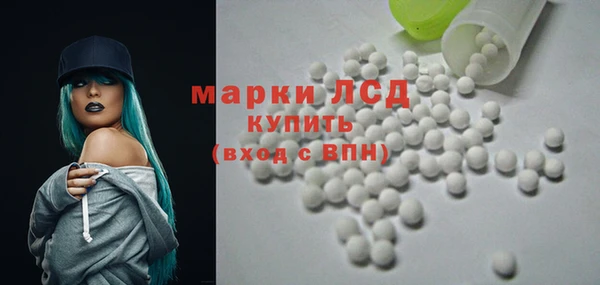 гидра Елизово