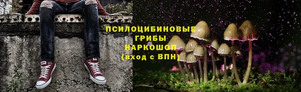 кристаллы Дмитриев