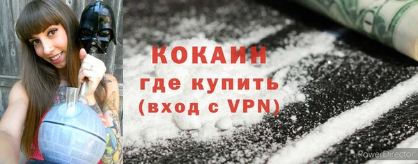 гидра Елизово
