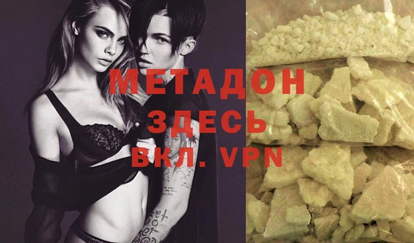 гидра Елизово