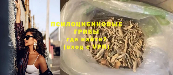 гидра Елизово